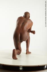 Nude Man Black Slim Bald Realistic